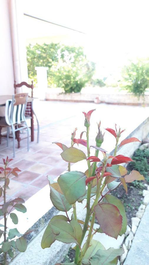 Country House Kefalonia Dhorizáta Eksteriør billede