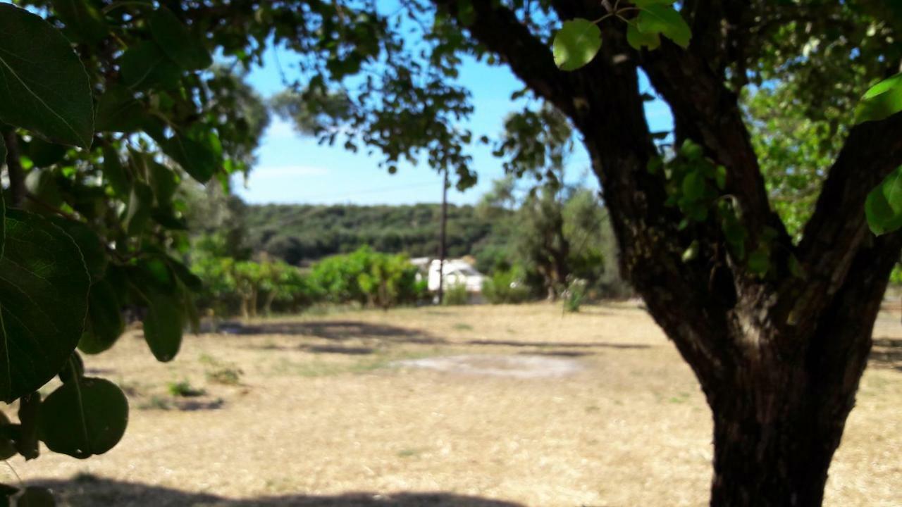 Country House Kefalonia Dhorizáta Eksteriør billede